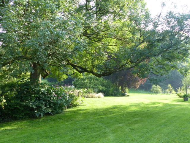 Willeman Le Jardin Du Rossignol 아파트 외부 사진